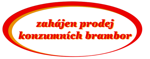 konzumní brambory PRODEJ.png