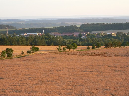 P1050144.jpg