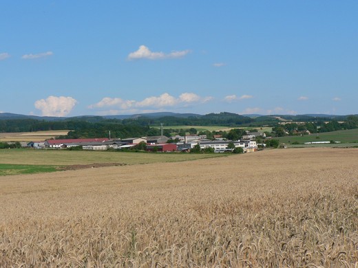 P1050149.jpg